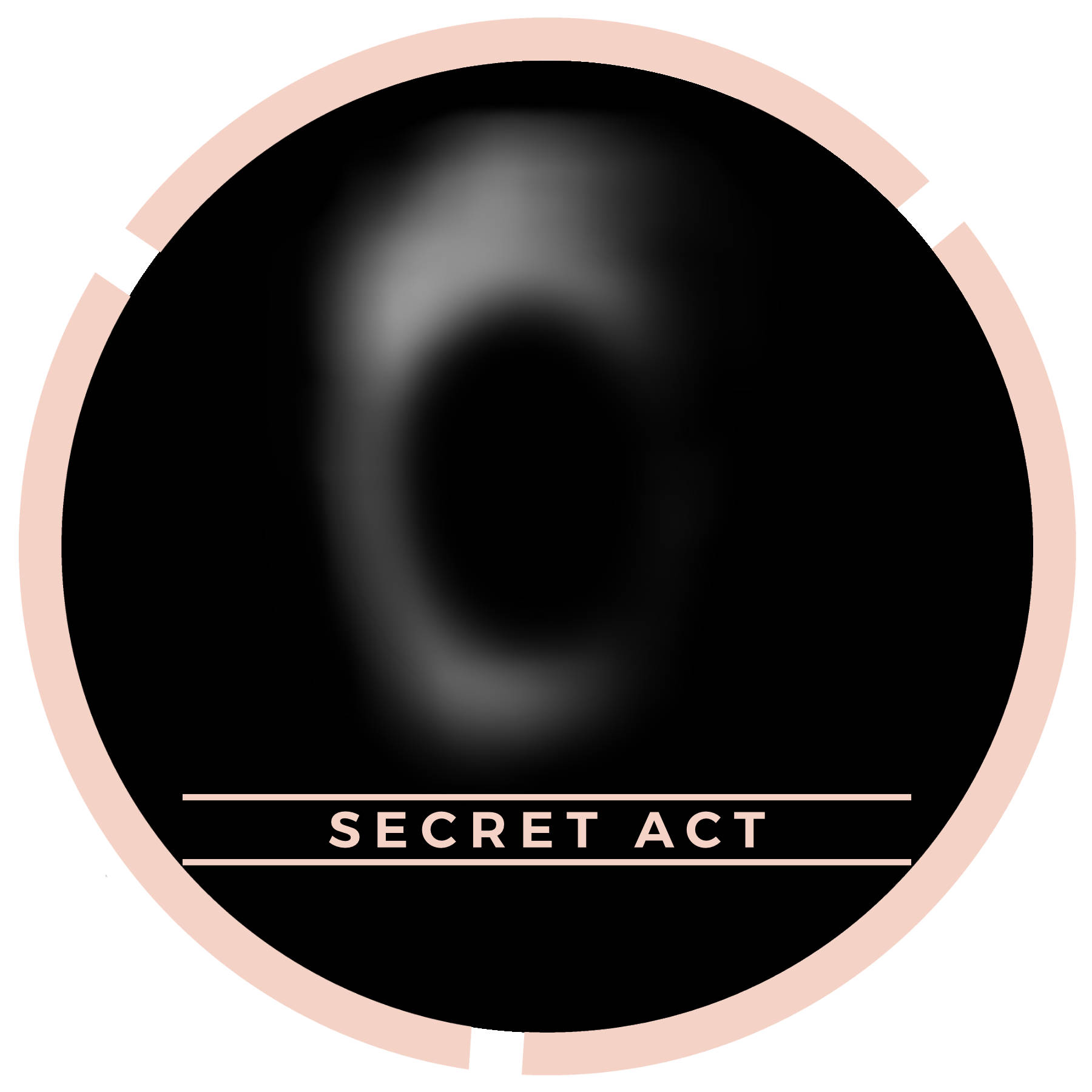 Secret Act